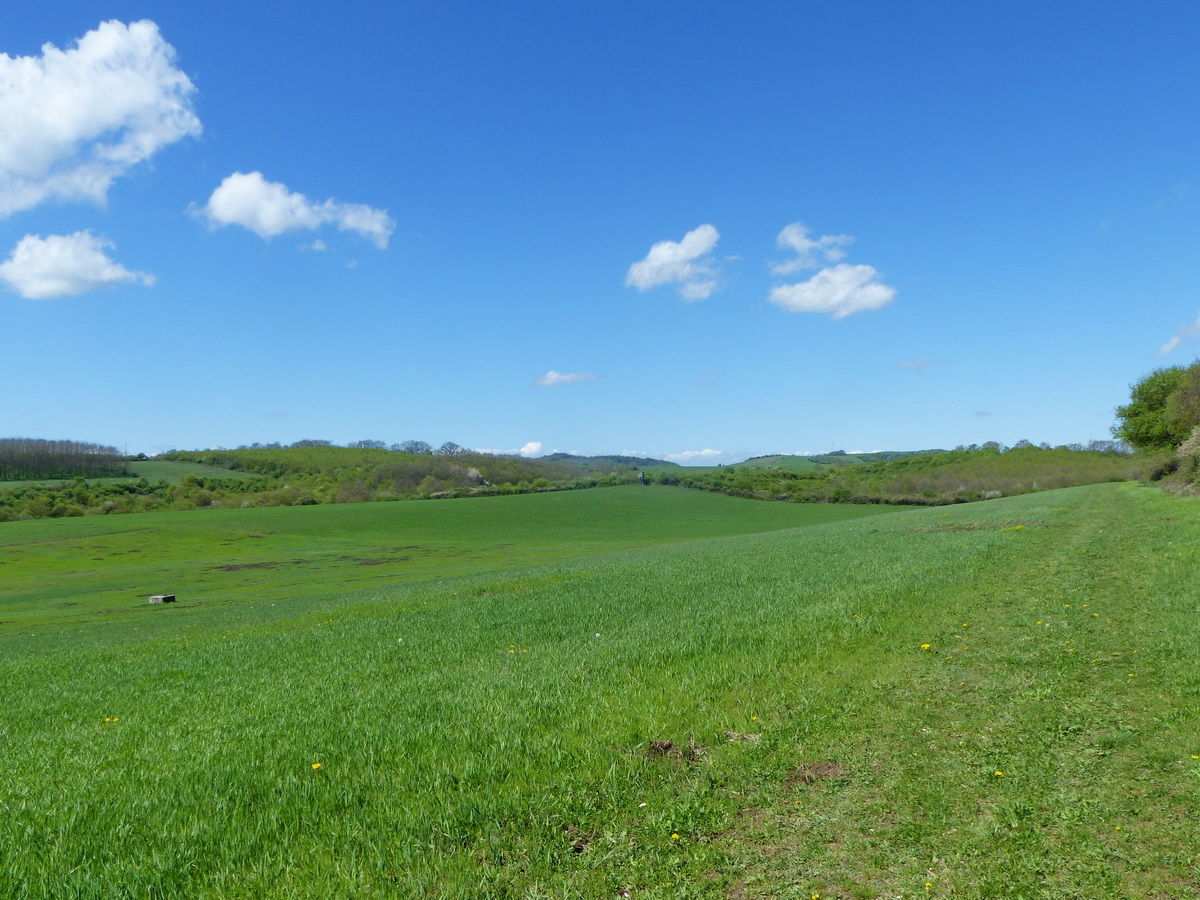Kiértem a szántók peremére