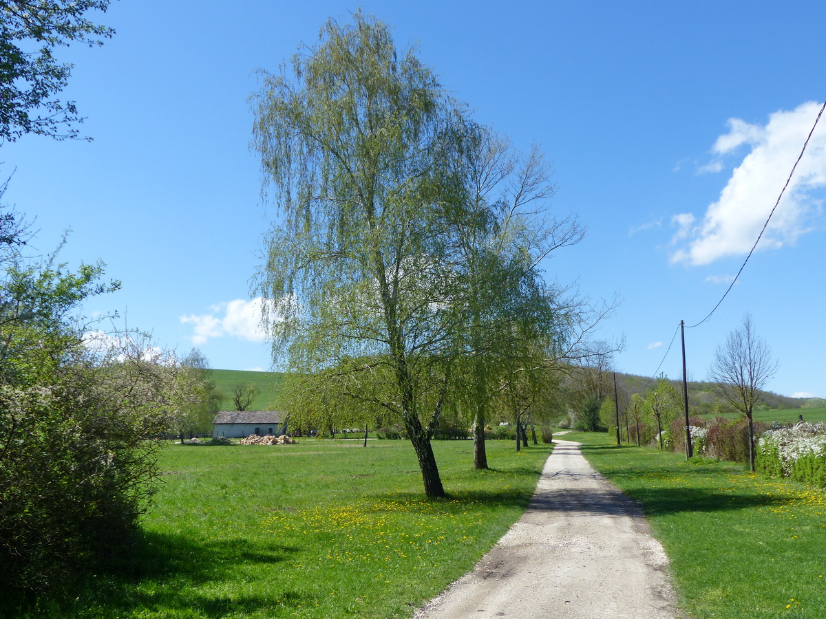 Úton a magányos tanya felé