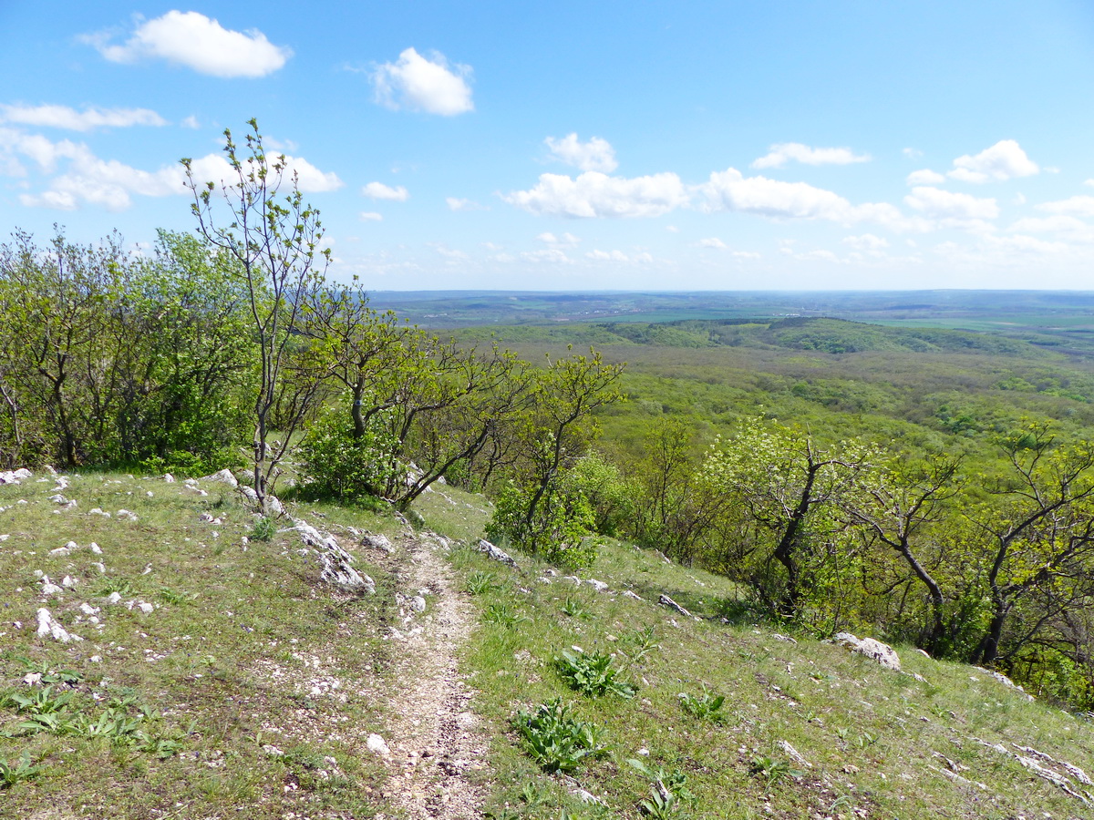 Visszatekintés a Zuppa-tető oldalában kapaszkodó ösvényen