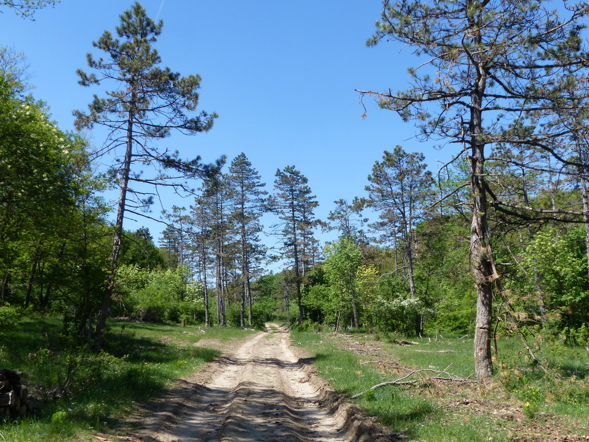 A Pap-völgyben