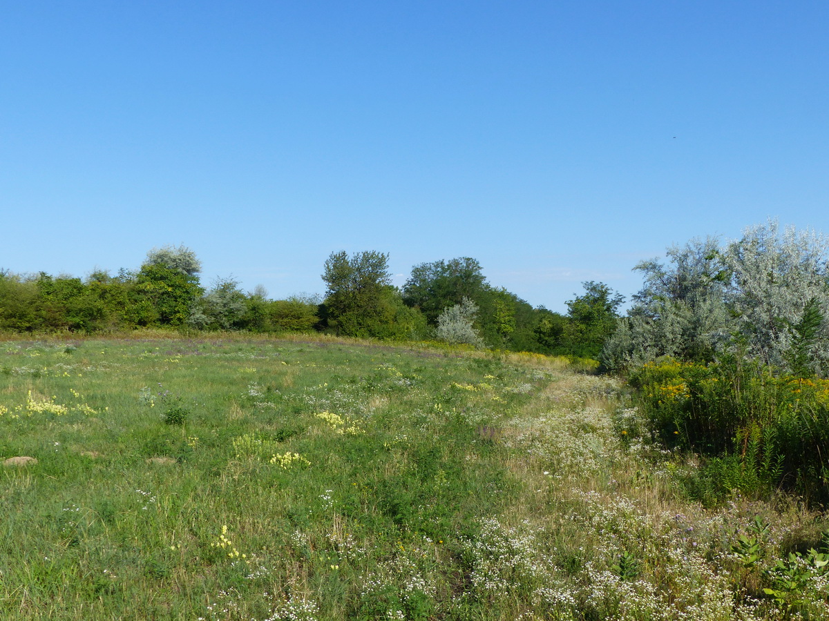 Alig látható nyomokon 1.