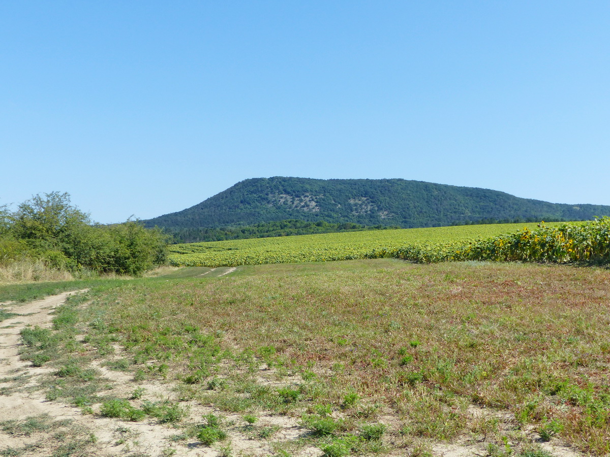 És újra a Nagy-Gete