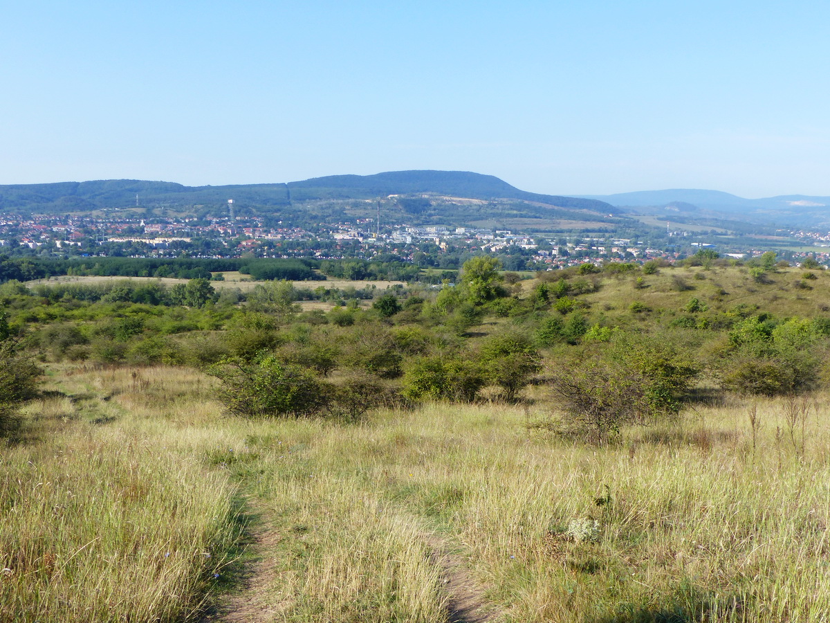 Visszatekintés az erdőhatárról