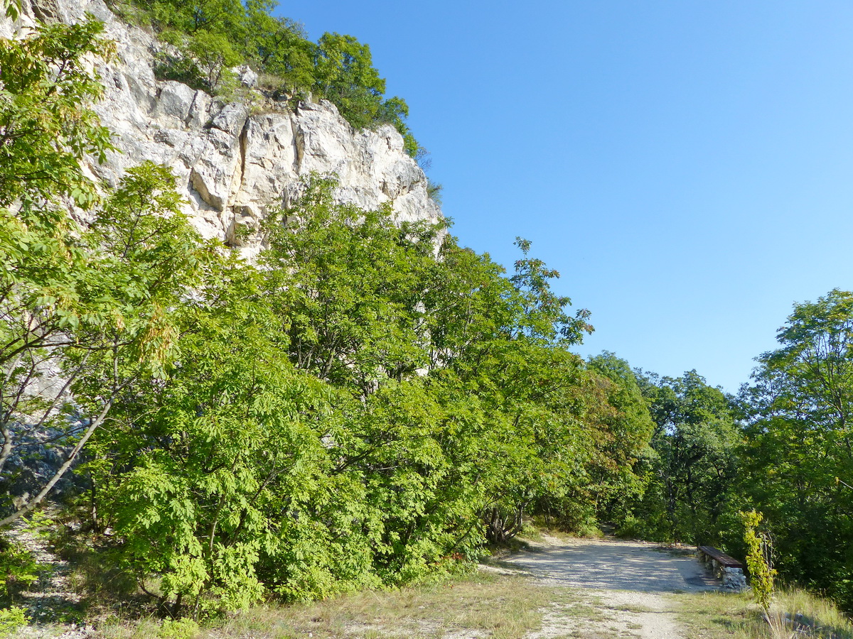 Ebben az elhagyott kőfejtőben található a barlang bejárata