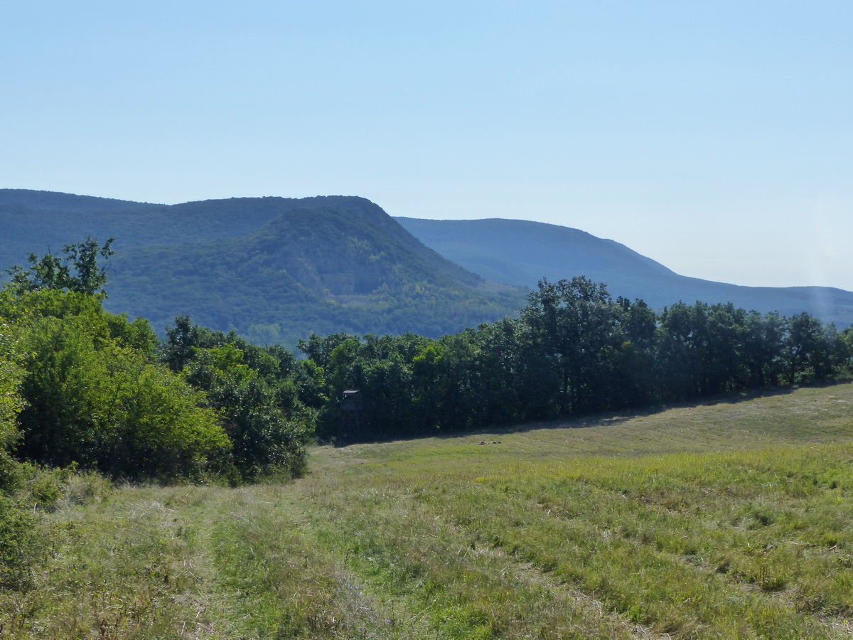 Előtérben a Fehér-szirt kőfejtővel felsebzett oldala, szorosan mögötte az Öreg-szirt áll, a hátteret a Pilis-tető adja