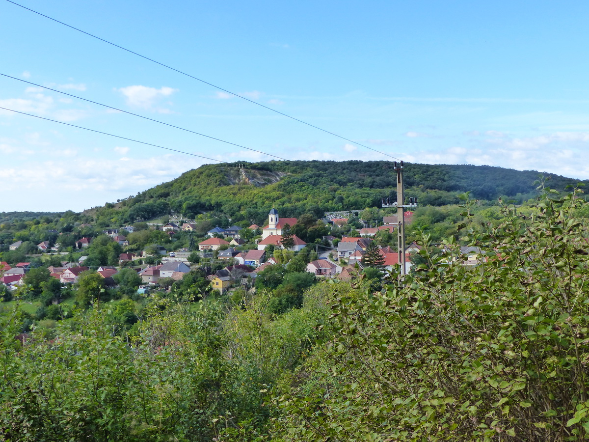 Kilátás Csolnokra a Homokvasút nyomvonaláról