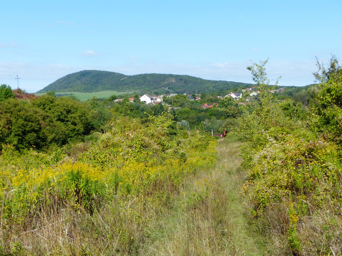 Füves keréknyomokon kapaszkodtam fel a Pollus-hegyre