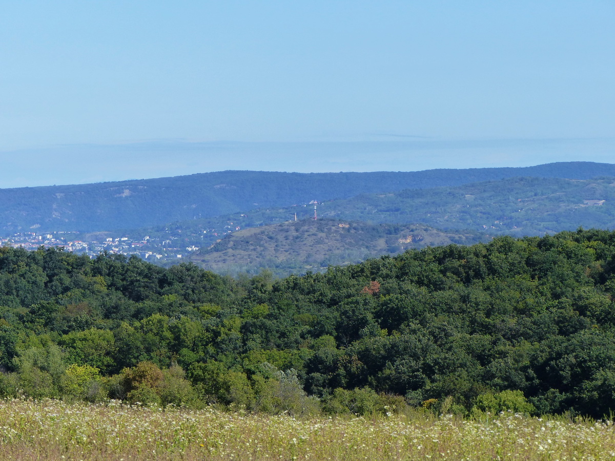 A Fehér-hegy és a Liget-hegy közötti völgyön keresztül látszik a Kis-Strázsa-hegy és a távoli Esztergom. A múlt heti túrámon jártam arra.