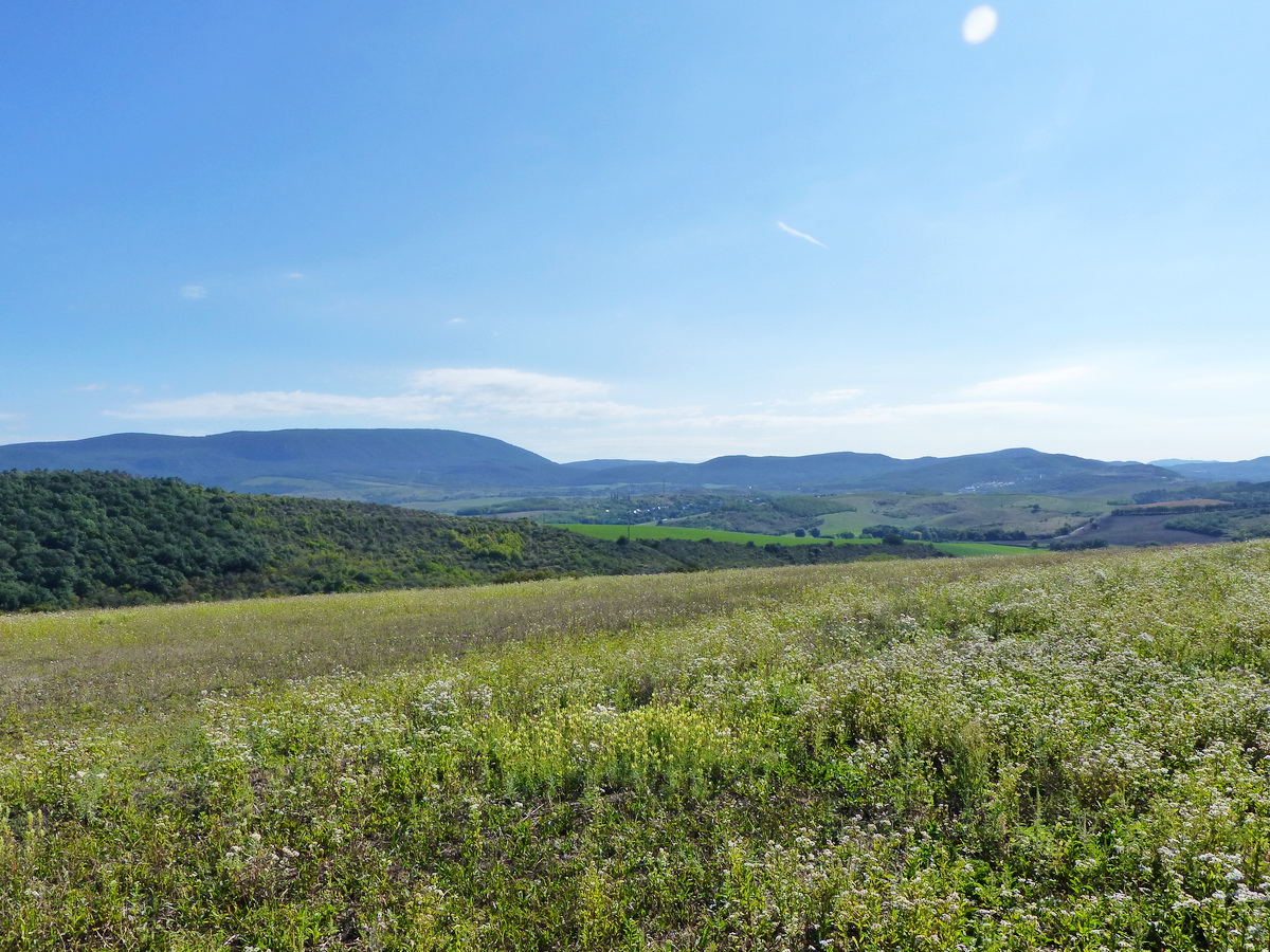 Kilátás a Pollus-hegyről a távoli Pilis gerincére