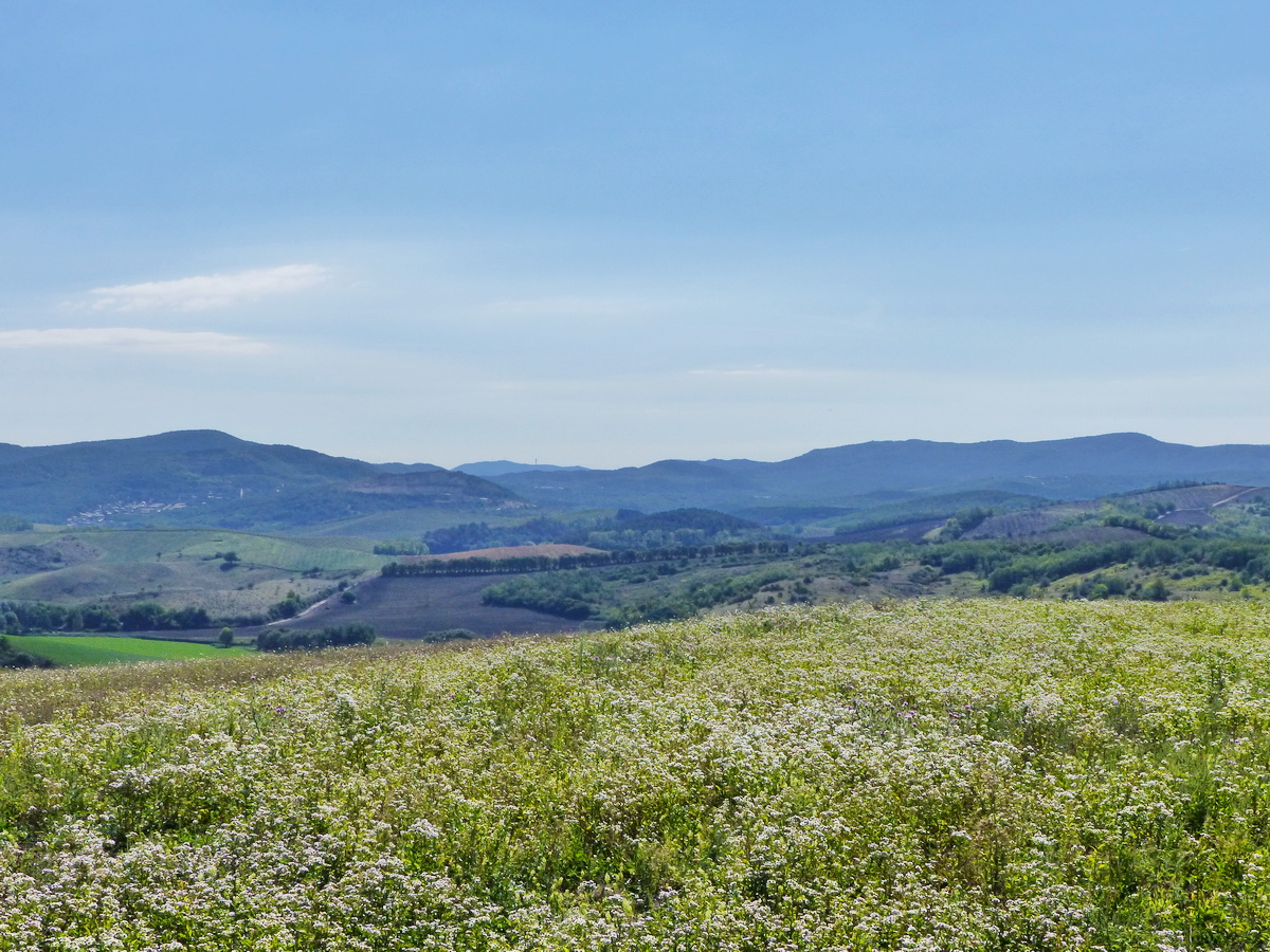 A messzeségben középen a Budapesten álló Hármashatár-hegy is feltűnik