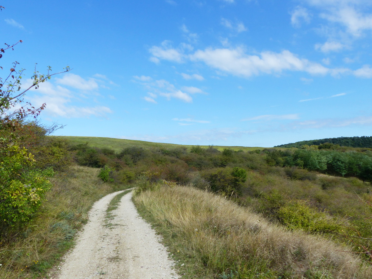 Murvás földúton a Pollus-hegy oldalában