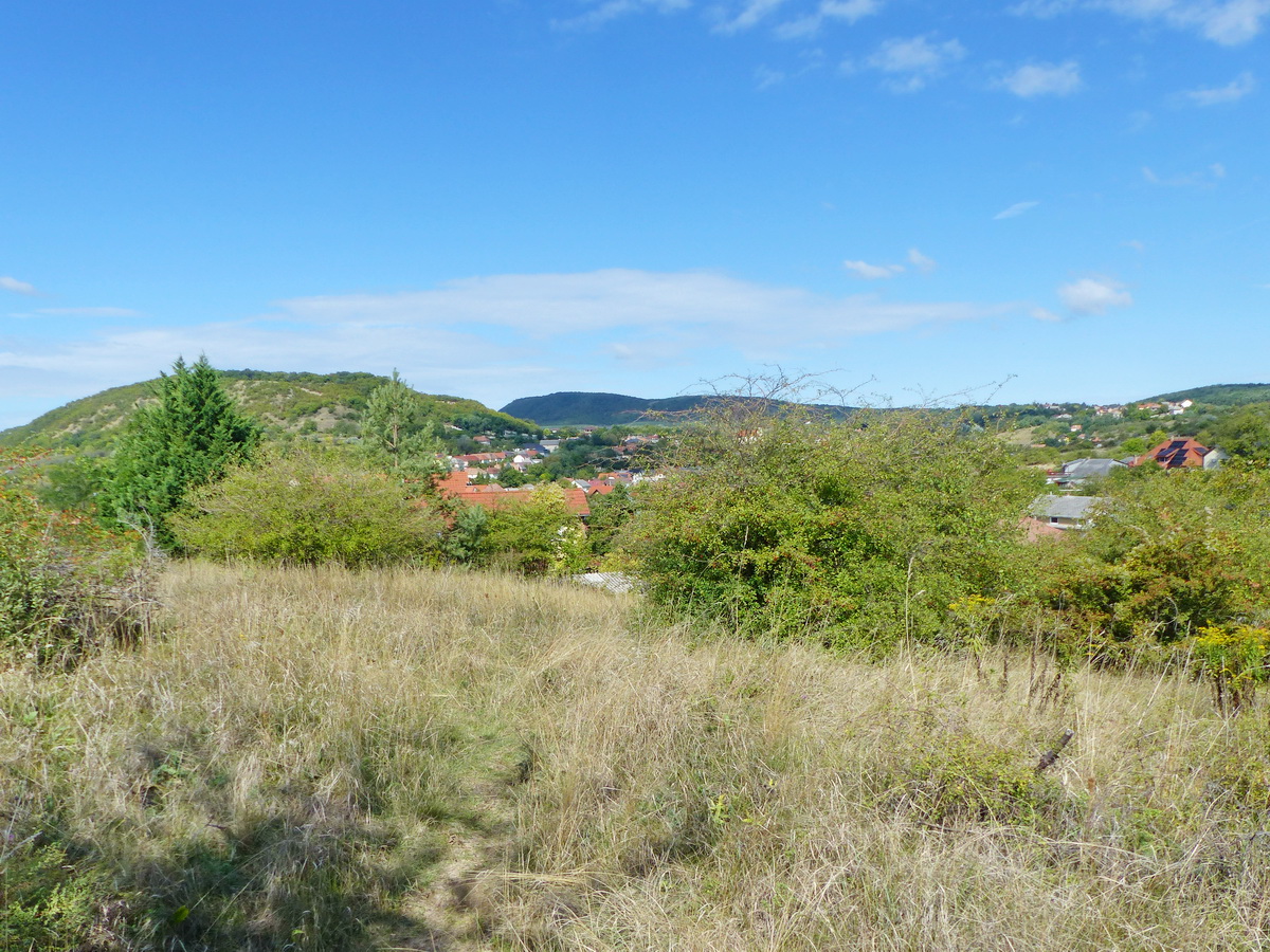 Lassan visszaérek az ösvényen Csolnokra