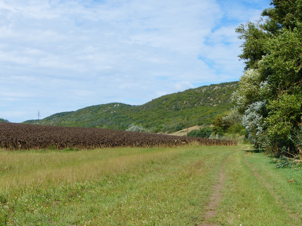 A Janza-patakot követve tűnt fel előttem a Magos-hegy erdős-sziklás oldala