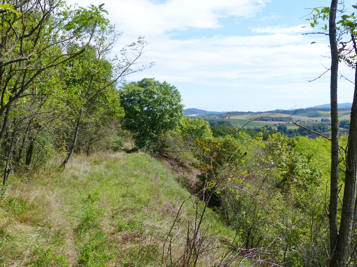 Ösvényen a Magos-hegy oldalában a mesterséges teraszon