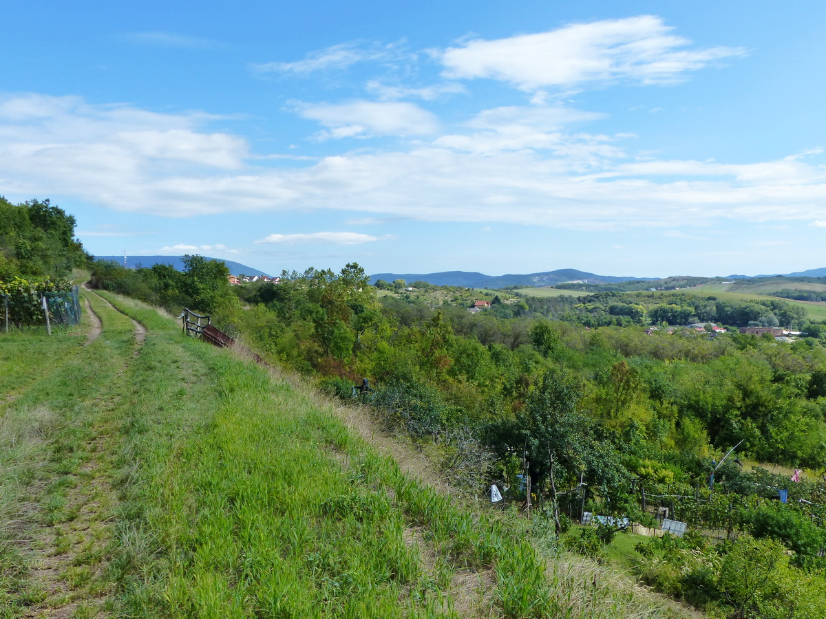 Itt már keréknyomok kanyarogtak alattam