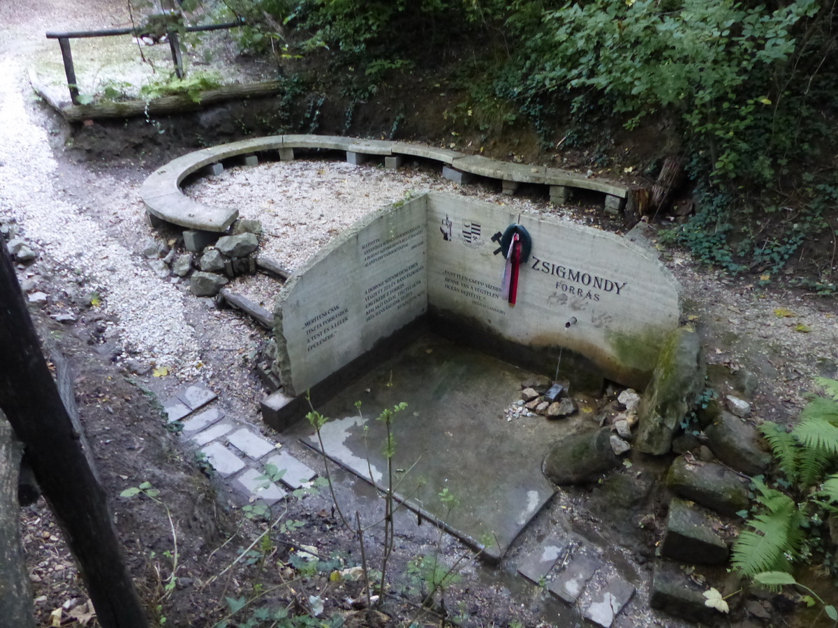 Egy kis völgyecske alján fakad a Zsigmondy-forrás