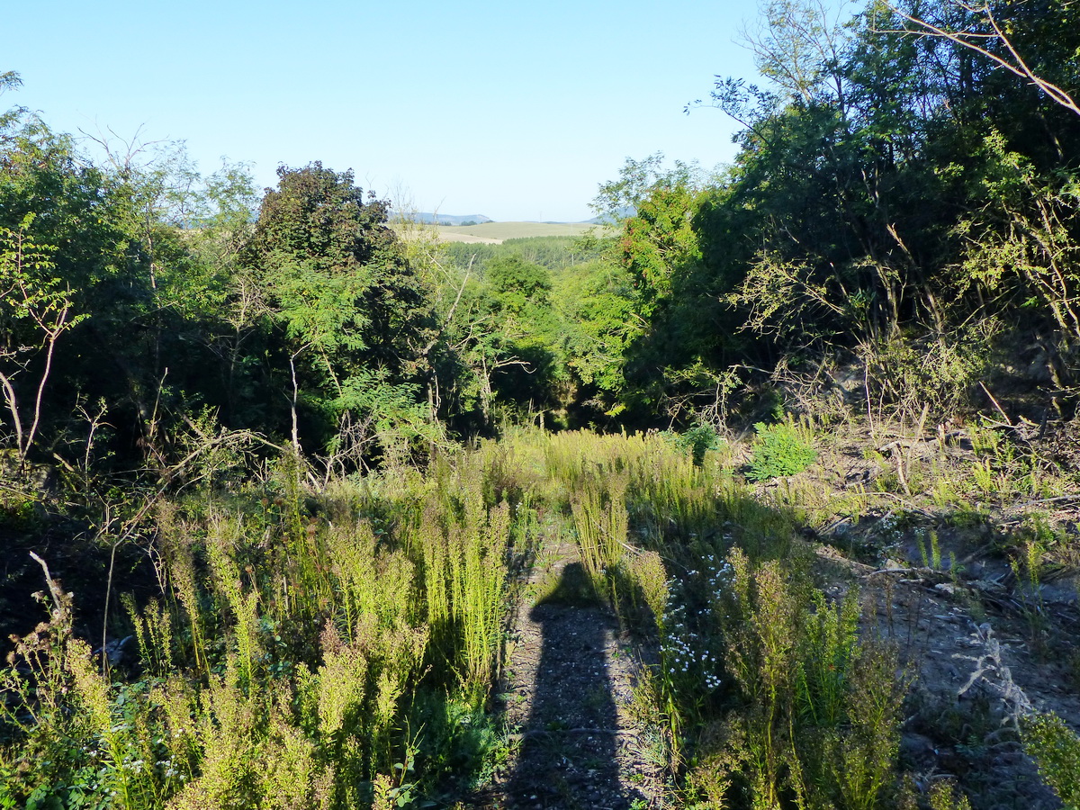 A volt meddősikló nyomvonalán kapaszkodtam fel a meddőhányóra