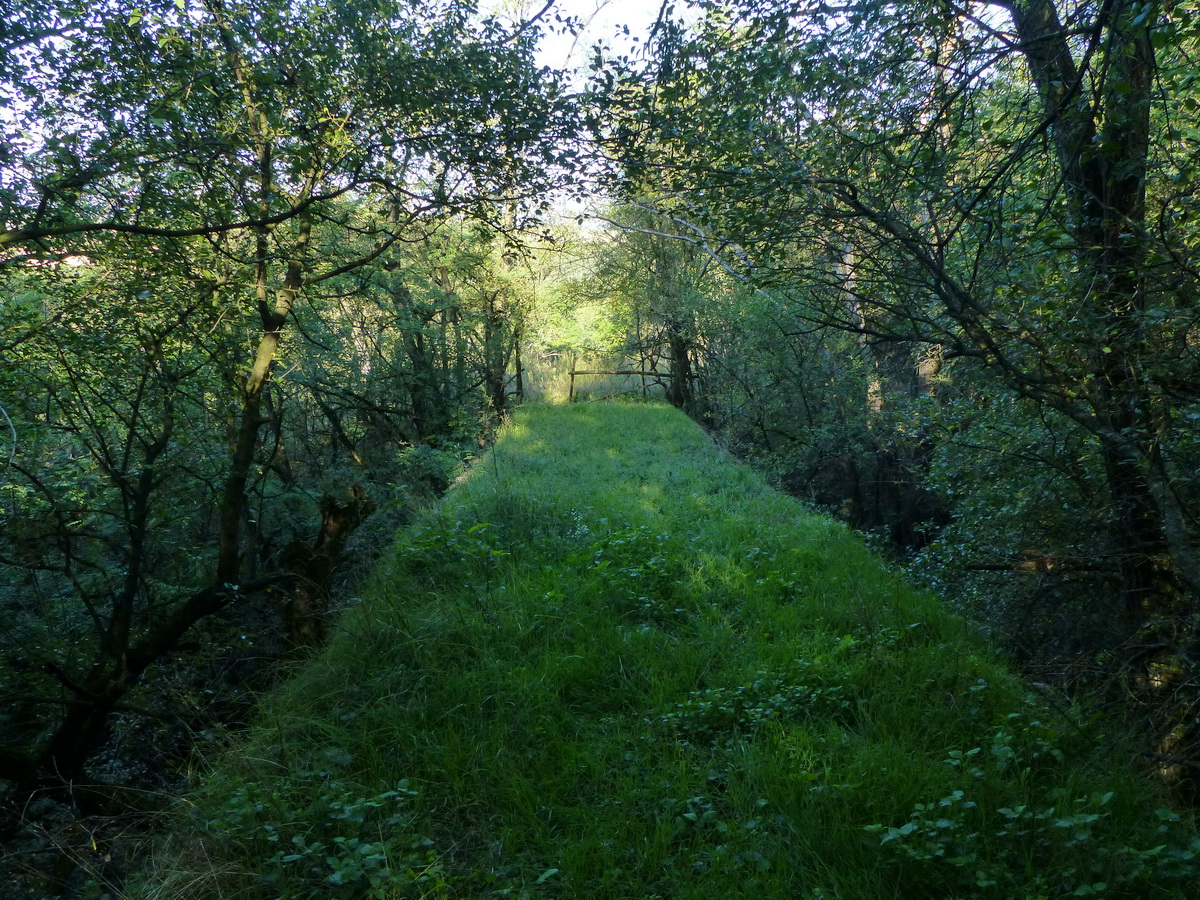 Még egy befüvesedett hidat is meghagytak a meddősikló pályáján