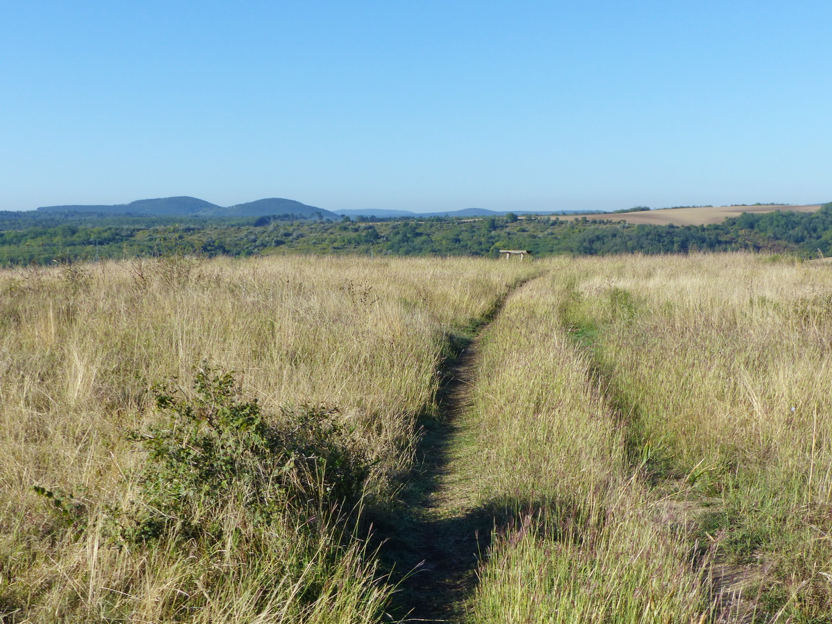Egy pihenőpad áll a meddőhányó fennsíkjának peremén