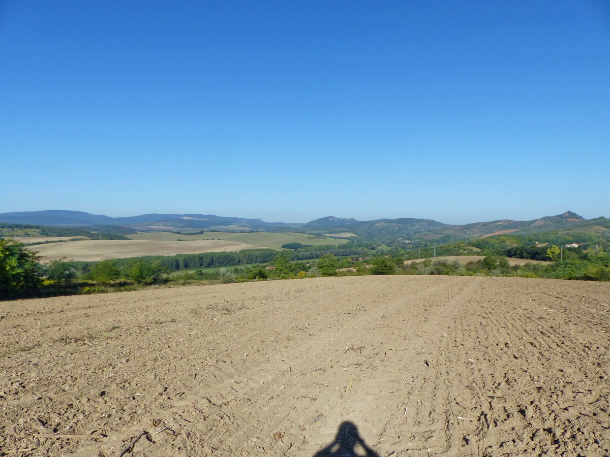Beszántották a mezőn átvezető földutat!
