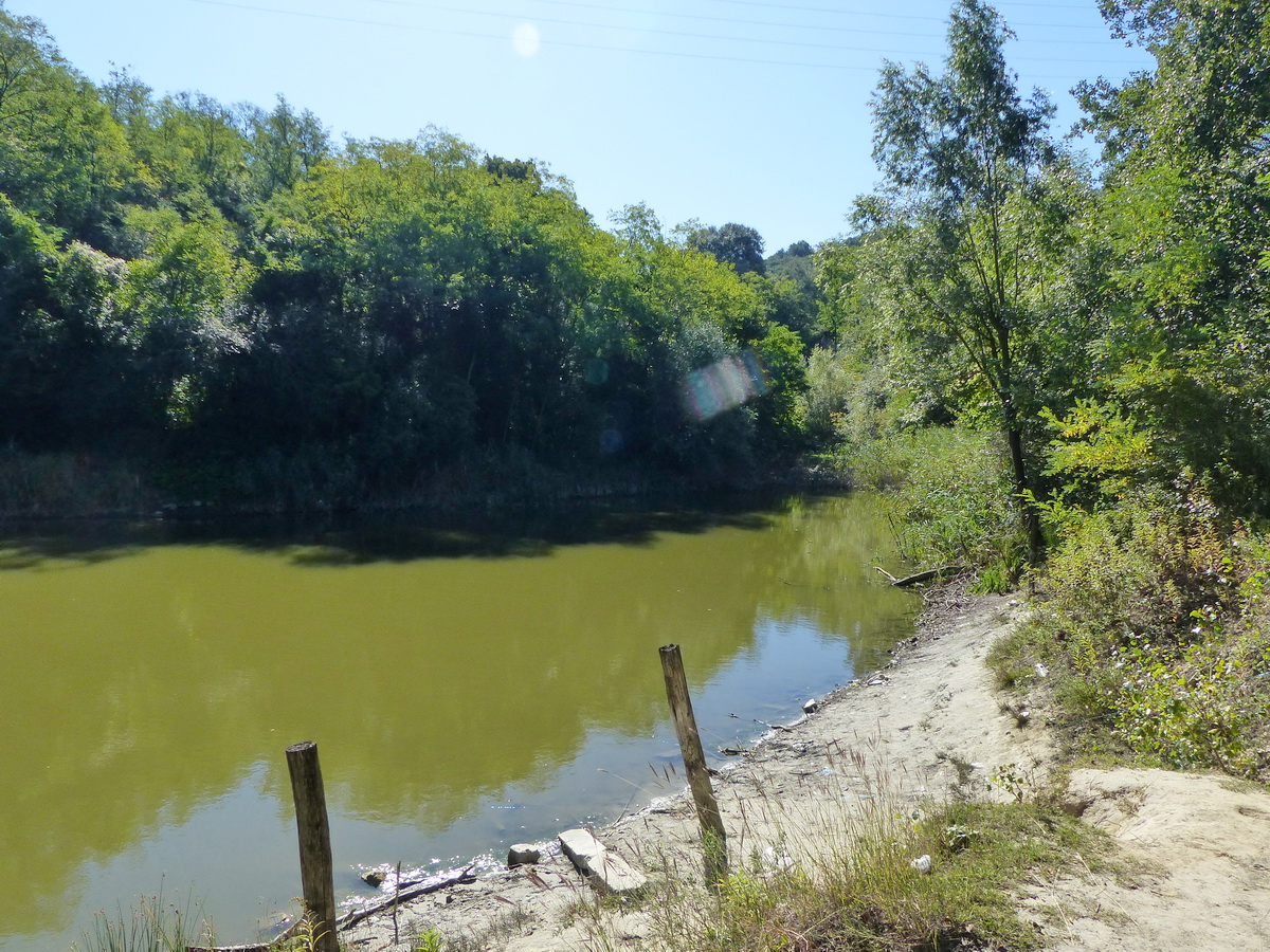 Horgásztó a Sörház-völgyben