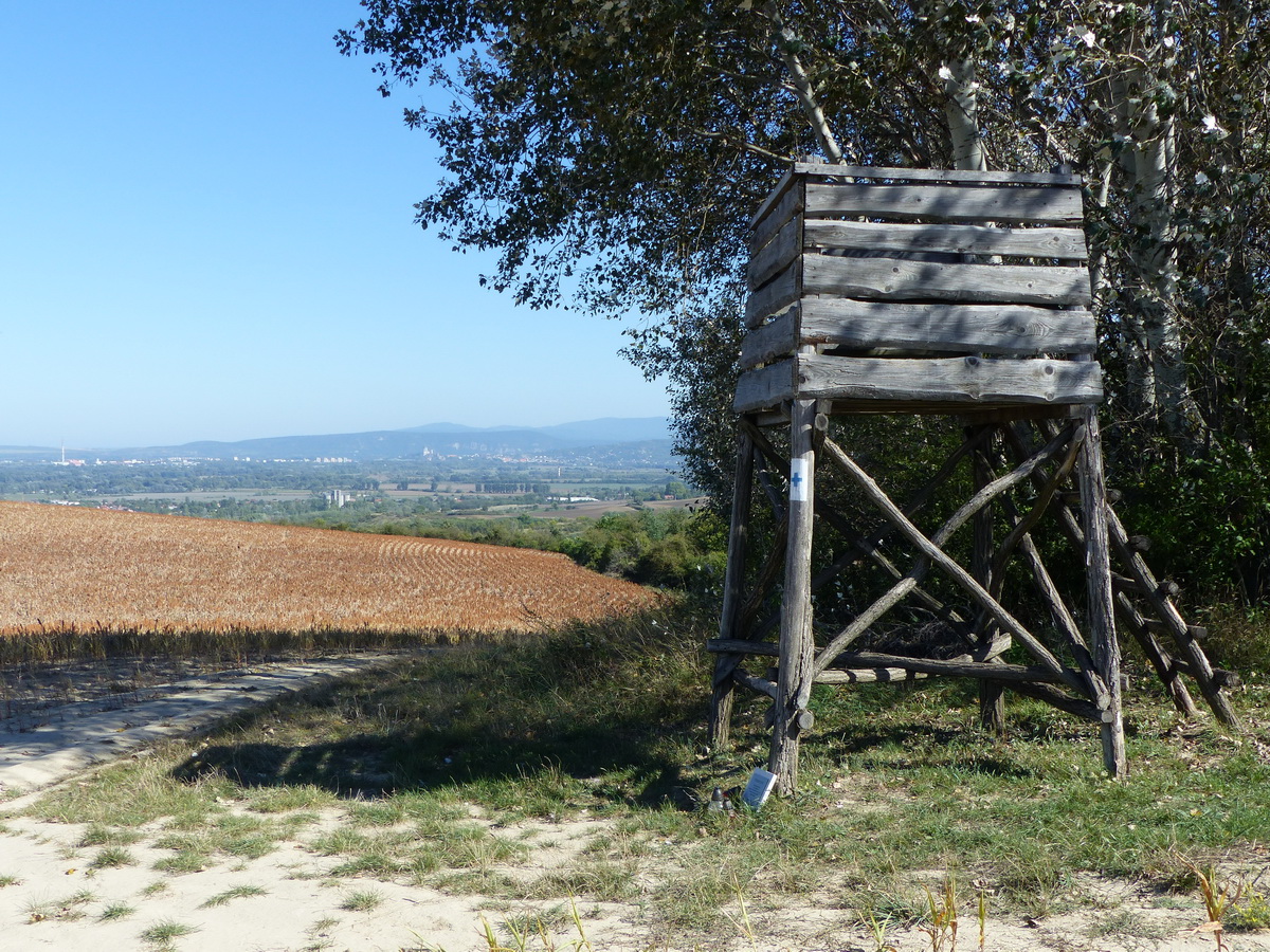 Kilátás a magaslestől