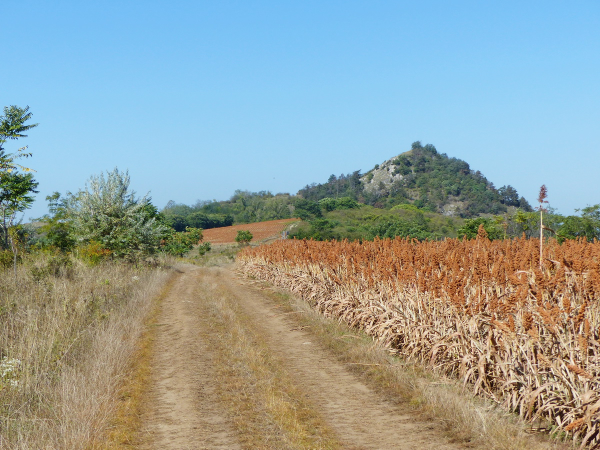 Kis kitérővel irány a Hegyes-kő!