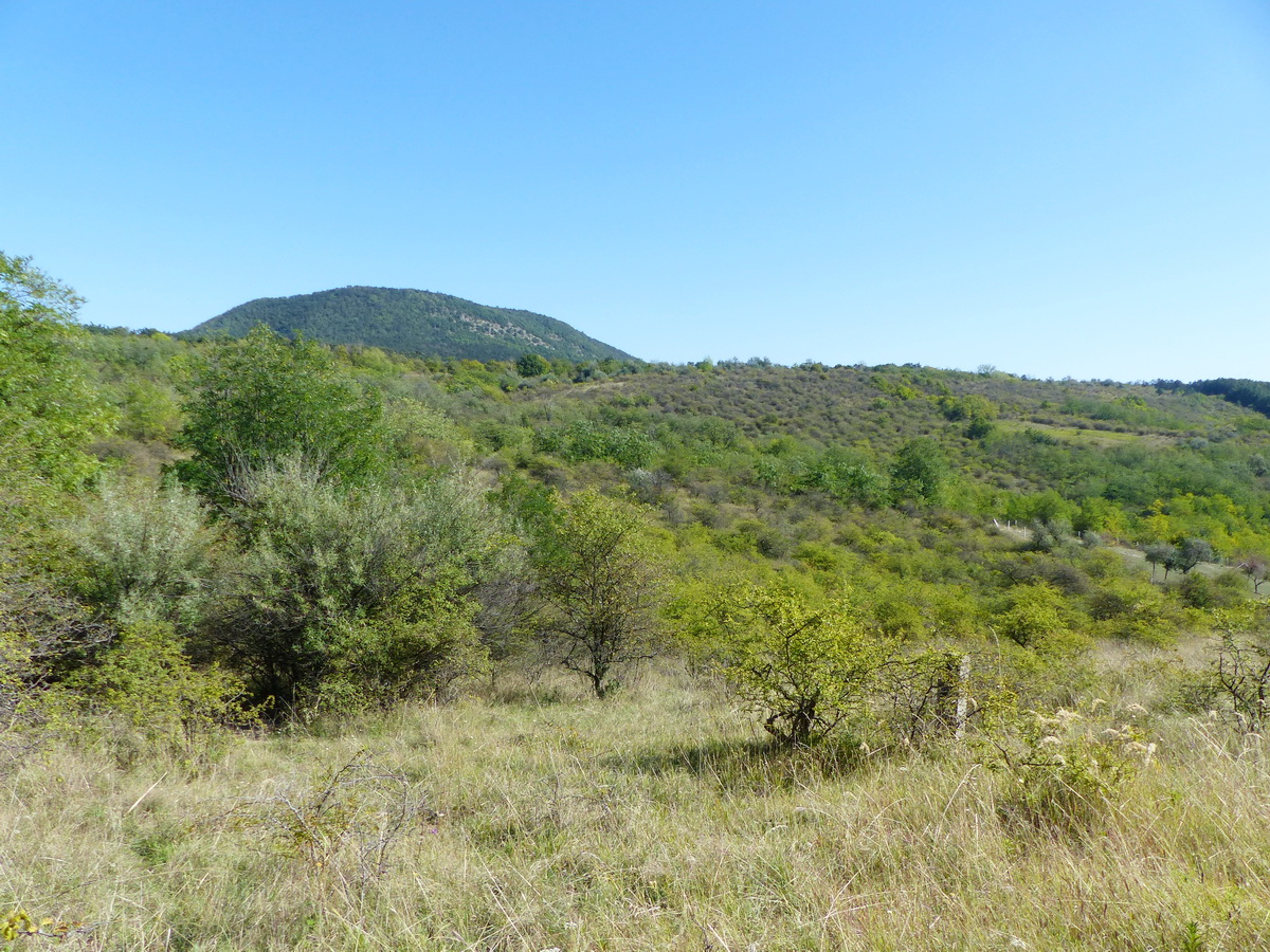 Itt volt valaha a Homokvasút VIII-as ürítője