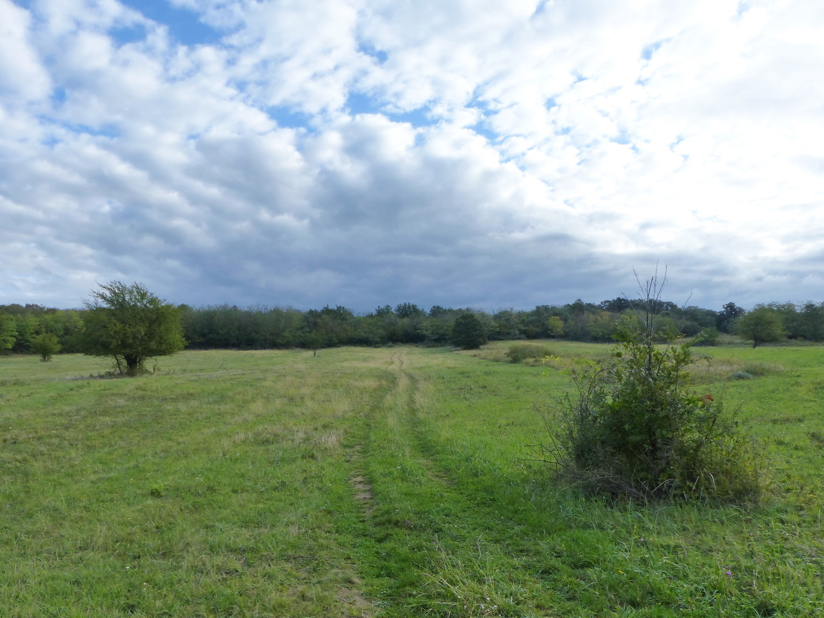 Kaszálókon át a változóan felhős ég alatt