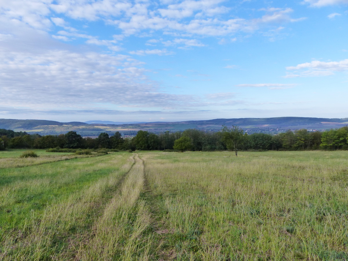 Visszatekintés az Ipoly völgyére egy kaszálóról
