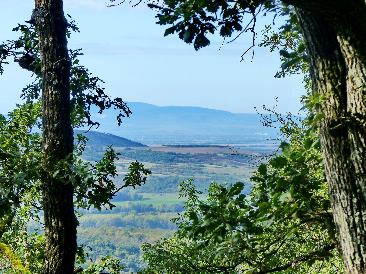 A lombok között feltűnik az Ipoly és a Duna völgye, a távolban a Gerecse dombjai állnak