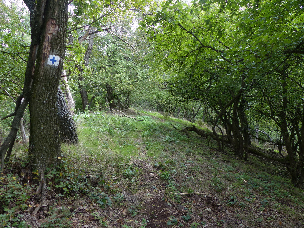 Alig látható nyomokon a Sákola-tető gerincén