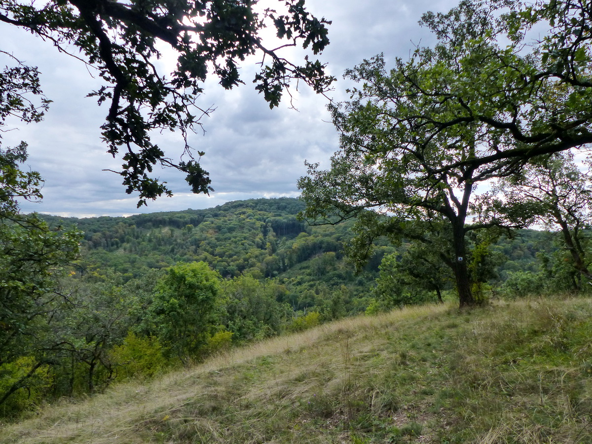 Kis kilátópontra tértem le az alig járt nyomokról