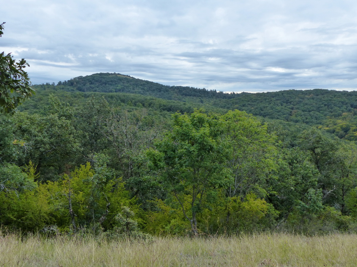 Balra már látható a Kis-Koppány csúcsa, onnan is körül fogok még nézni!