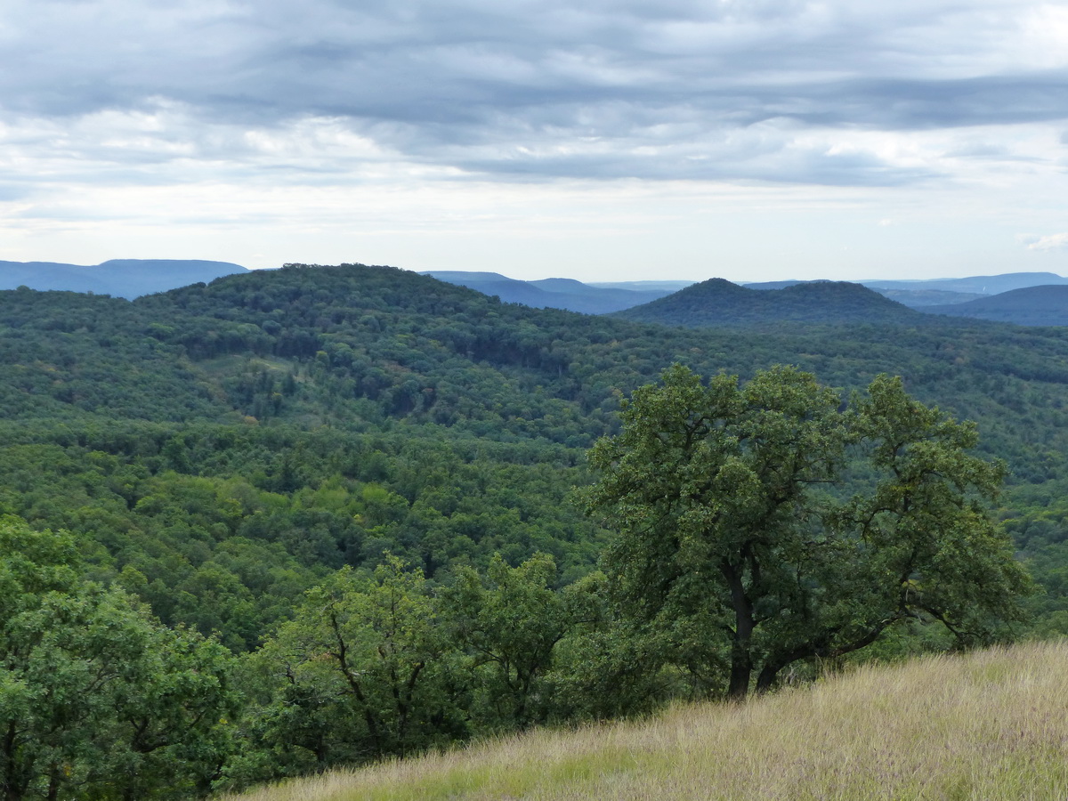 Kilátás a Kis-Koppány ormáról a Széles-hegy (balra), valamint a Nagy- és Kis-Galla felé (jobbra)