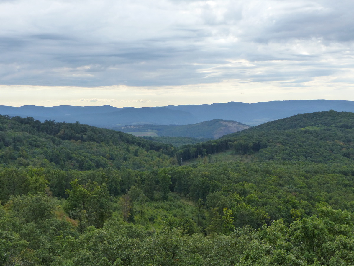 A távolban a Visegrádi-hegység csúcsai, középen a lebányászott oldalú Csák-hegy áll