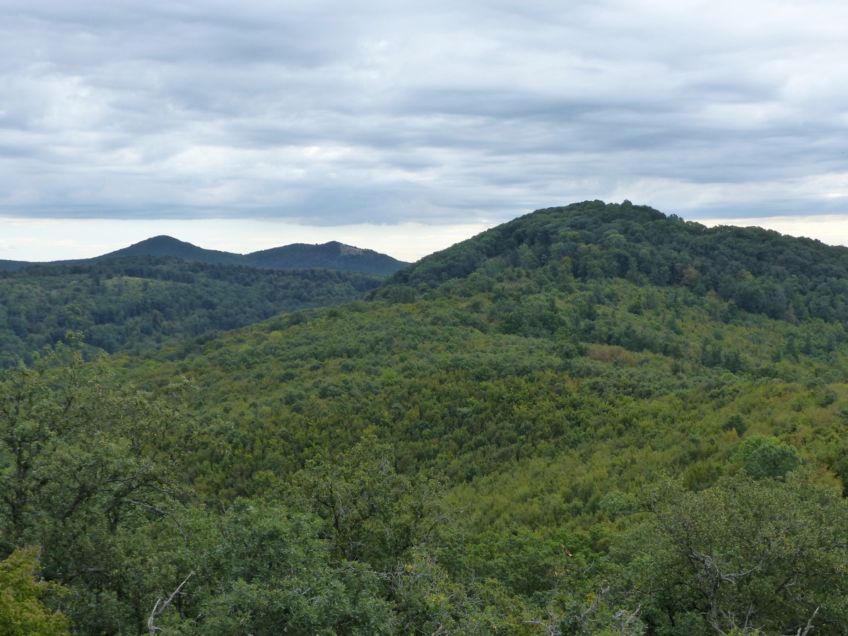 Balról jobbra a Nagy-Gyertyános, a Nagy-Koppány és a Széles-hegy