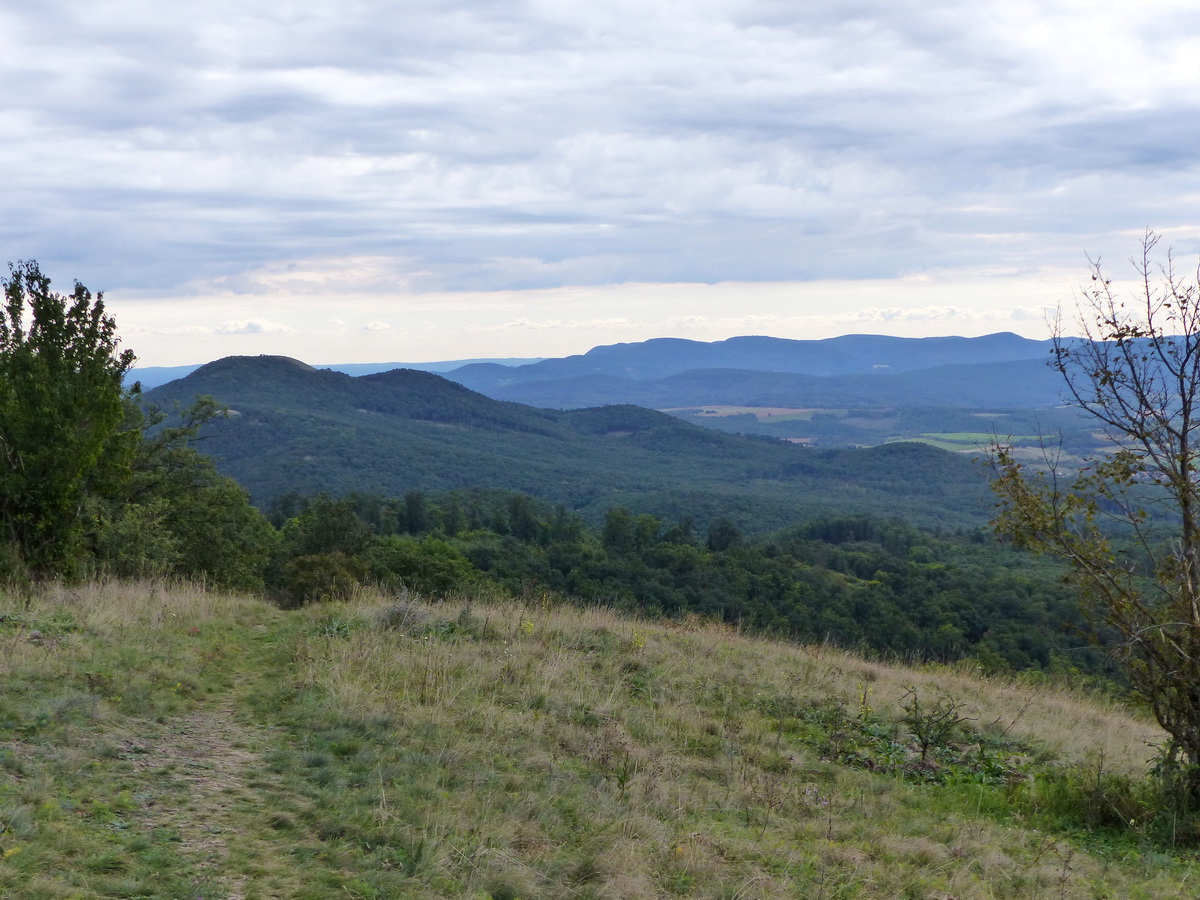 A Nagy-Koppányról lefelé ereszkedve már jól látszik a Nagy-Sas-hegy, Kis-Sas-hegy, Sós-hegy, Kopasz-hegy gerinc is. Arrafelé folytatom az utam.