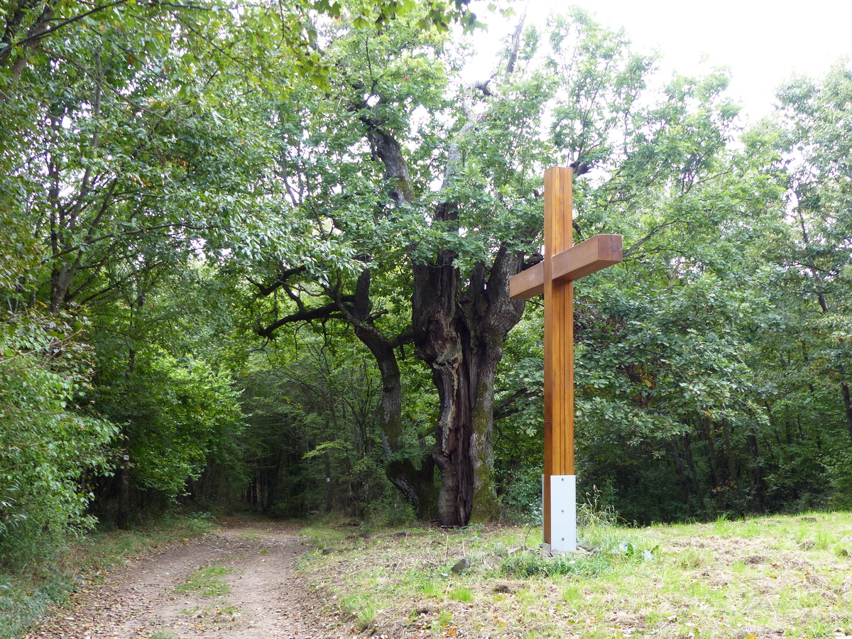 Az Eucharisztikus kongresszus emlékkeresztje a Méhes-fa mellett