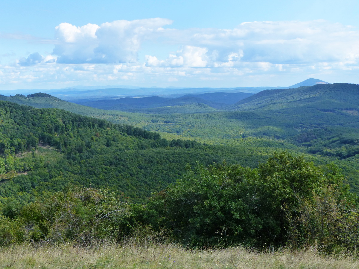 Kilátás a Kis-Sas-hegyről kelet felé. A távolban jobbra látszik már a Vác melletti Naszály-hegy is.