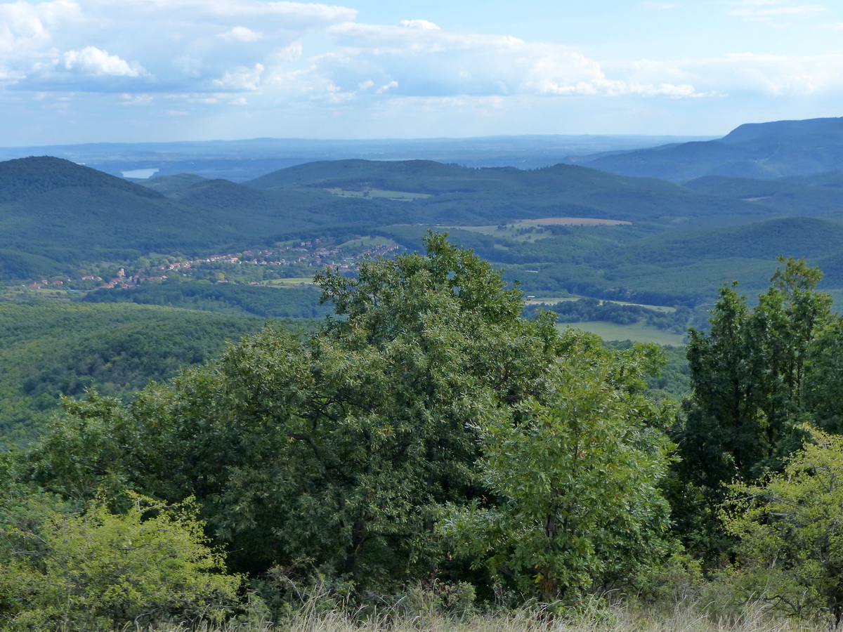 Lenn a völgyben terül el Kóspallag, mögötte feltűnik a Duna szalagja is