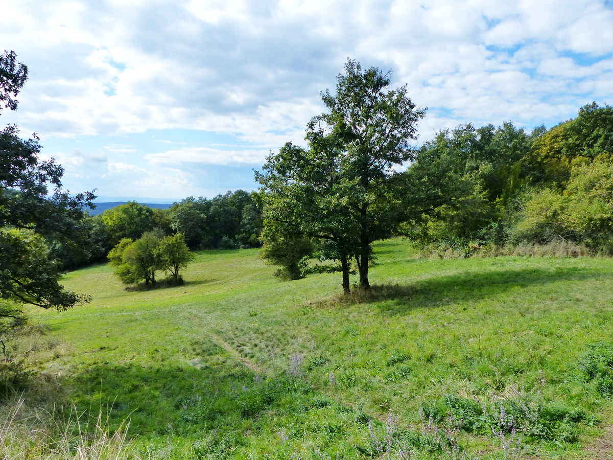 Átvágtam a Kis- és Nagy-Sas-hegy közötti réten