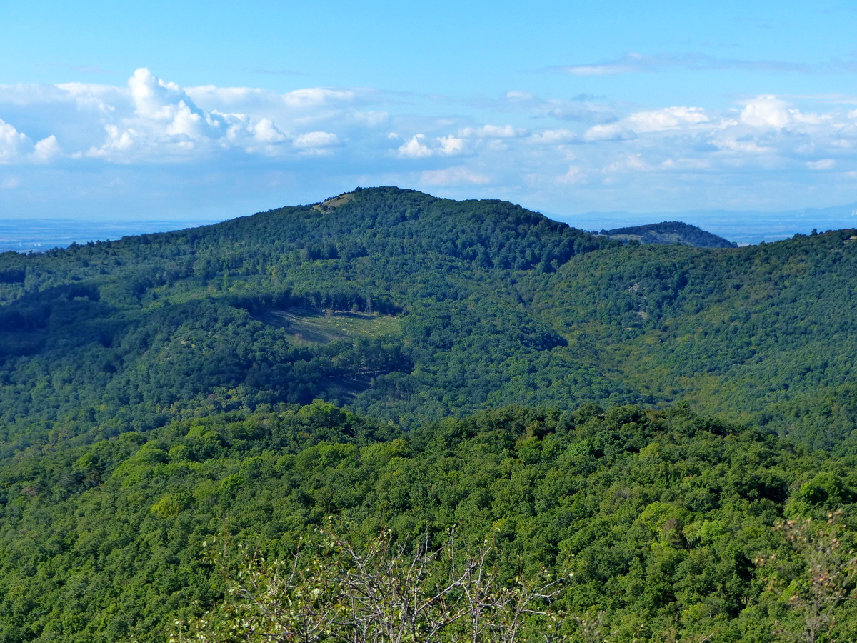 Kilátás a Nagy-Koppányra