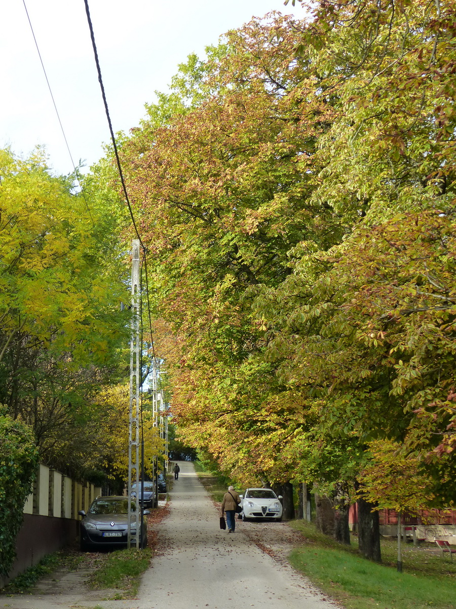 A Gete utca vadgesztenyefasorában hagytam magam mögött Tokodaltárót