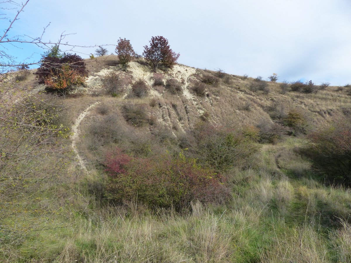 A névtelen kilátópontra felvezető ösvények