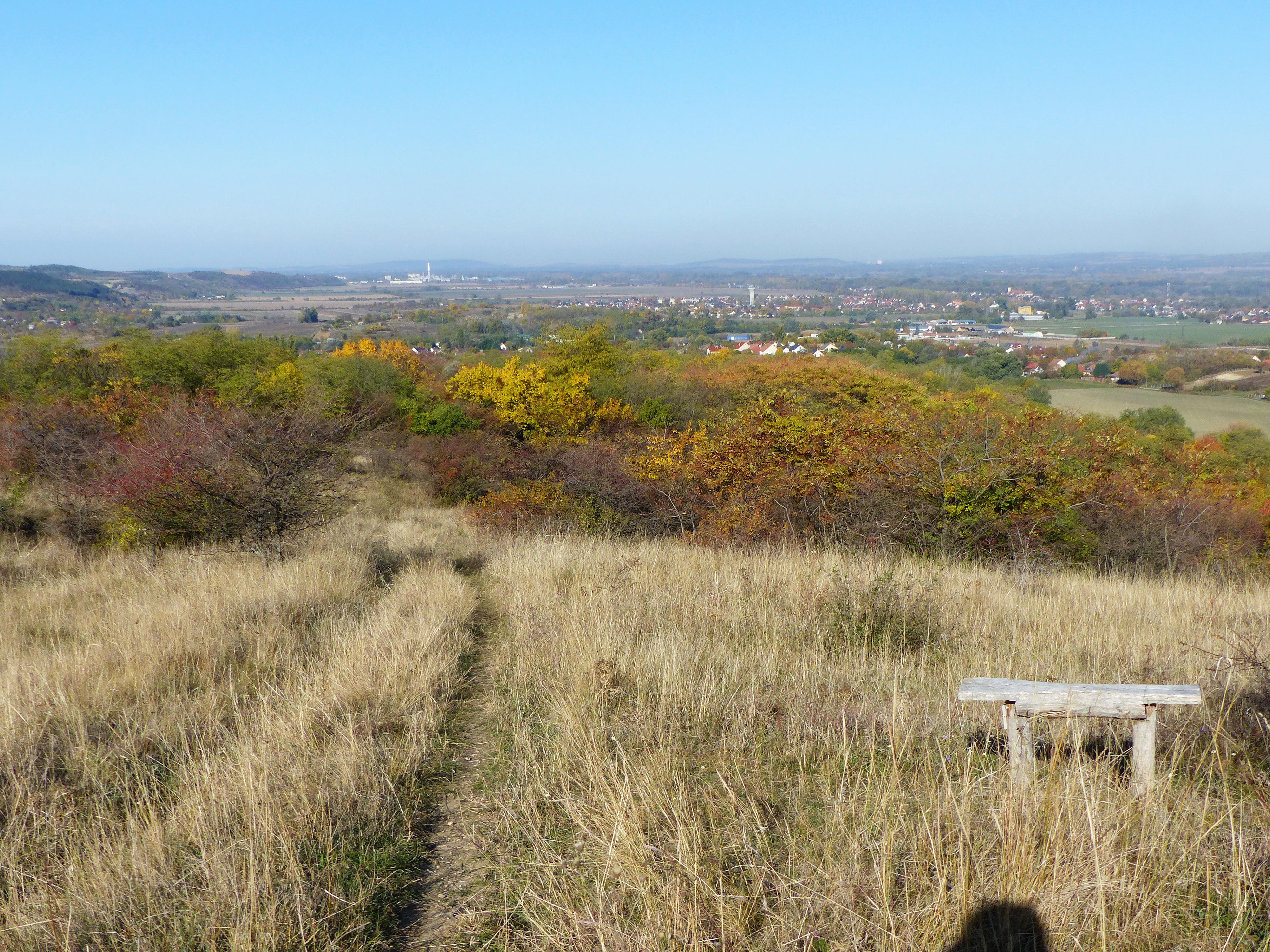 Kilátás a Cigány-hegy oldalából a Duna-parti síkságra és Tokodra