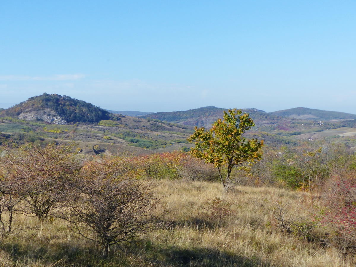 A Hegyes-kő, a Kőszikla és a Bajóti Öreg-kő