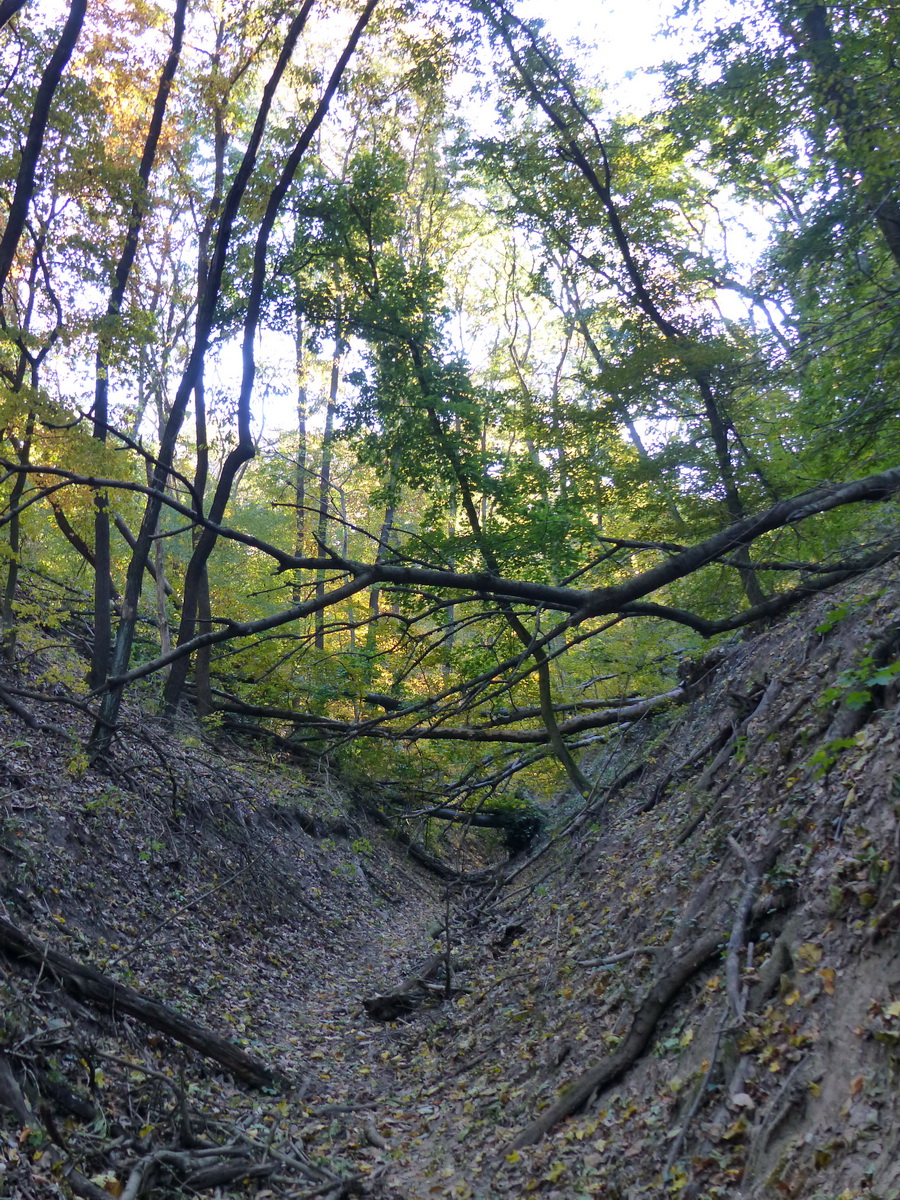 A Cigány-völgy eróziós árkában kapaszkodtam tovább