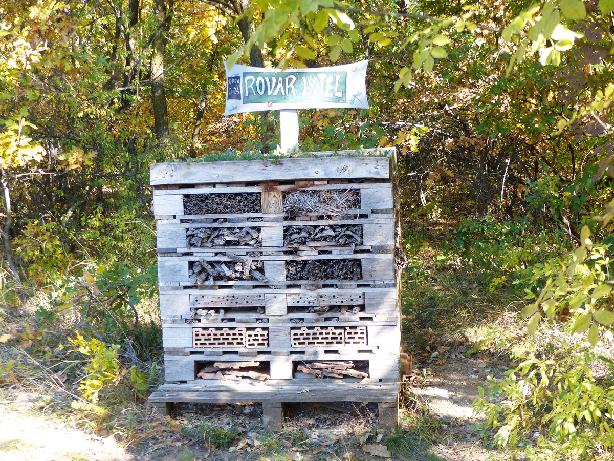 Rovarhotel a fák között