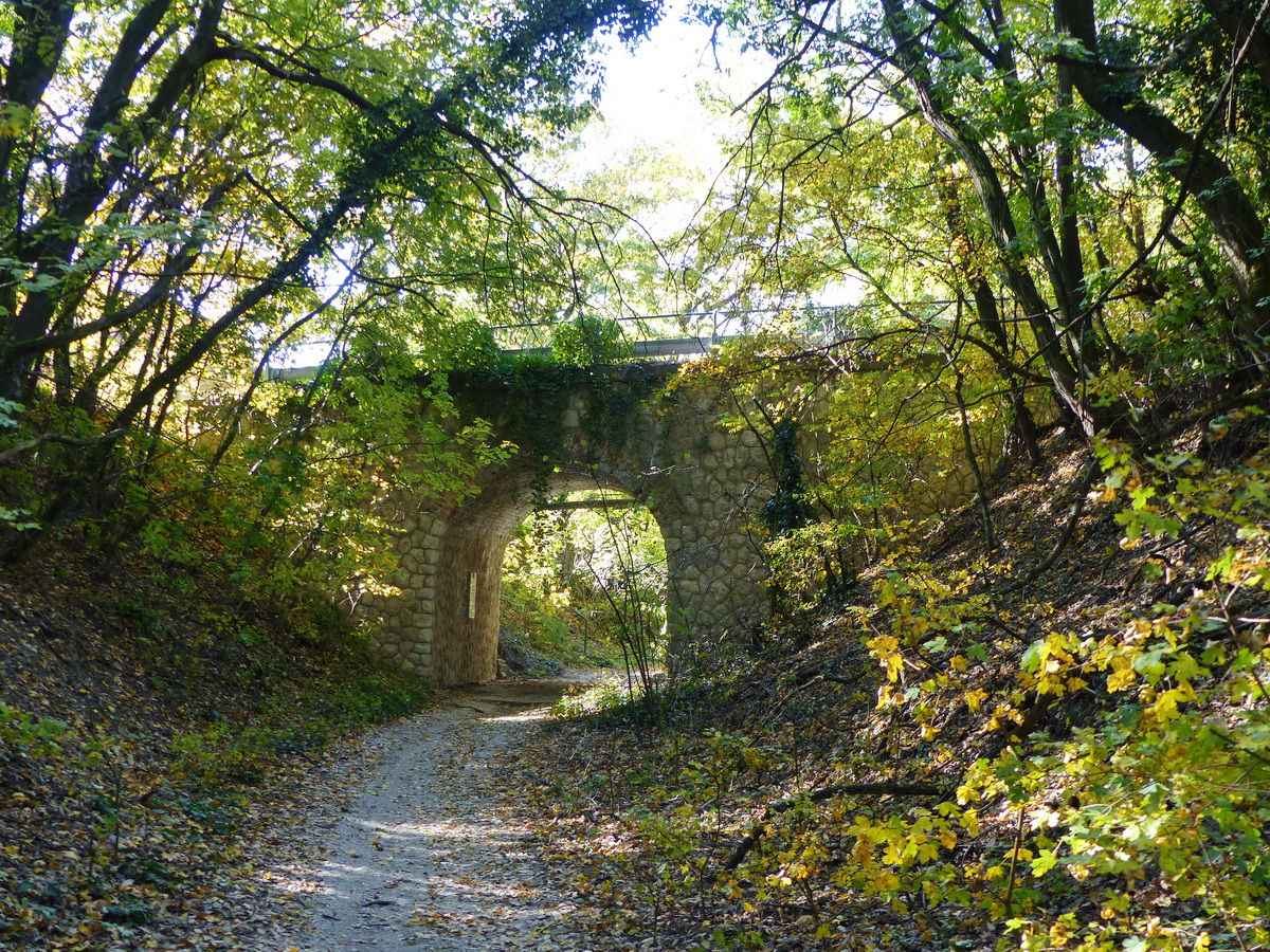A Homokvasút aluljárója egy csolnoki utca alatt